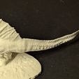 17.jpg SPINOSAURUS MAROCCANUS - 3D печатная статуя динозавра - модульный STL