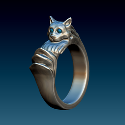 SilverCat Ring 1.png Dark Souls - SilverCat Ring