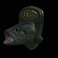 Fr-3.png fish head bass trophy statue detailed texture for 3d printing