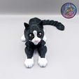 403637020_3075516002581651_1654635798583851787_n.jpg Flexi Cat, Print-in-Place, Articulated Kitty