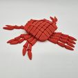 20251201_133418.jpg Flexi Hybrid Crab