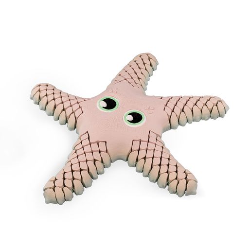 Sandy,-the-Sea-Star-WB3.jpg Sandy, la estrella de mar