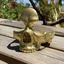 Skull Glasses and Change Holder