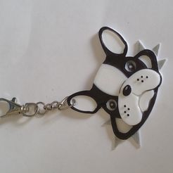 20200420_165210.jpg French bulldog key ring with necklace