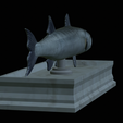 Barracuda-mouth-statue-15.png fish great barracuda / Sphyraena barracuda open mouth statue detailed texture for 3d printing