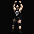untitled.213.jpg STONE COLD STEVE AUSTIN