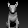 bullll.png Bullterrier seated