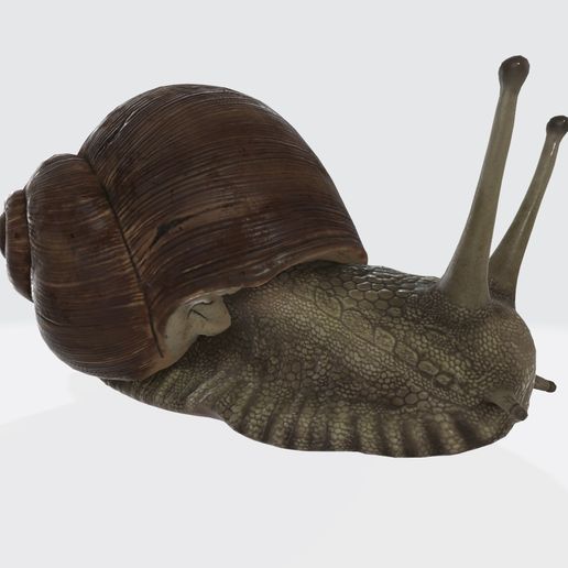 🐌 SNAIL REPTILE GARDEN・ STL File for 3D printing・Cults