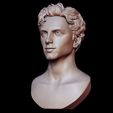 12.jpg Timothee Chalamet bust sculpture 3D print model