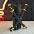 IMG_4860.jpg Ninja Cat