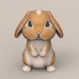 BN02.png Cute Rabbit Droopy Ears STL