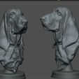 Screenshot_6.jpg Bloodhound Bust