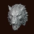 2.jpg Cabeça de lobo