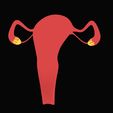 Female-Reproductive-System-8.jpg Female Reproductive System