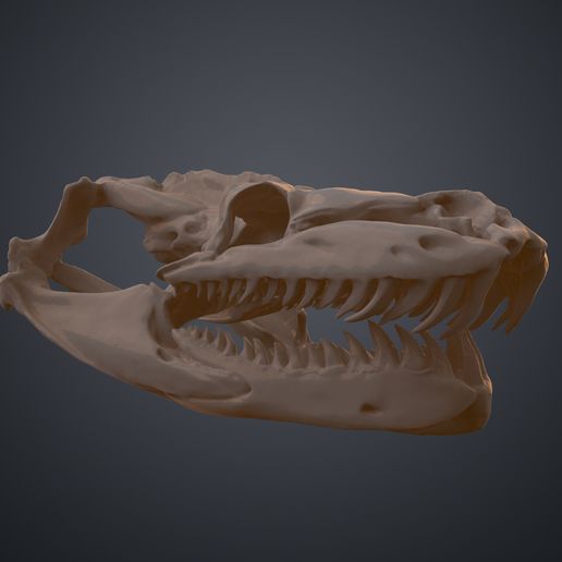snake-skull-python-stl-3d-print-3demon.188.jpg Realistic Snake Skull Collection