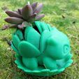 IMG_8216.JPG Blooming Bulbasaur Planter With Leaf Drainage Tray