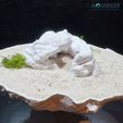 3D-printed-aquarium-cave-fish-hideout-pleco-cave-shrimp-shelter-fish-breeding-cave-betta-hideout-rep.jpg Aquarium Terrarium Rocky Cave - The Cliffside Retreat