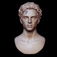 08.jpg Timothee Chalamet bust sculpture 3D print model