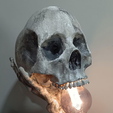 Screenshot-2024-09-03-125955.png Skull Lamp hand - halloween