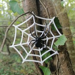 IMG_20211017_153734.jpg STL file Halloween Spider・3D printable model to download