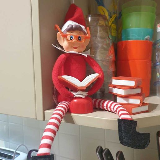 Amazon.com: The Elf on the Shelf: A Christmas Tradition