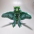 20240214_170524.jpg Luna dragon (butterfly dragon!)