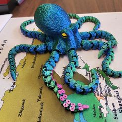 Octopus 2.0