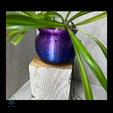 4.png Cauldron Planter with Drip Tray