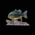 bass-na-podstavci-4.png bass underwater statue detailed texture for 3d printing