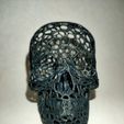 IMG20201203223016.jpg Voronoi Skull 3D print model