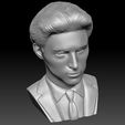 22.jpg Timothee Chalamet bust for 3D printing