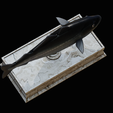 coalfish-statue-box-1-21.png fish coalfish / Pollachius virens with storage space / for 3d printing