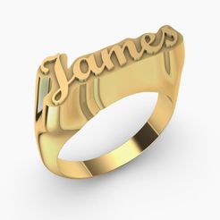 james-ring-16.1.jpg Fichier STL chevalière logo james・Design pour impression 3D à télécharger