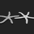 04_starfish-4-3d-print-aquarium-3d-model-obj-fbx-stl.jpg Starfish 4 - 3D Print - Aquarium - Sea Life