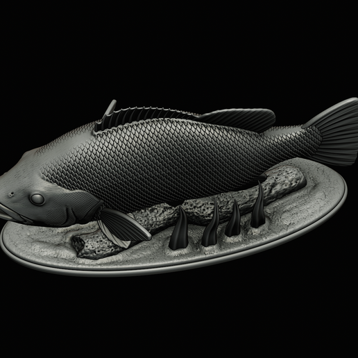 Peacock-Bass-statue-1-3-28.png FISH in motion Peacock bass (Cichla ocellaris) fish natural base detailed texture for 3d printing