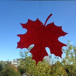 Foto_display_large.jpg Free STL file Maple_Leaf・Template to download and 3D print