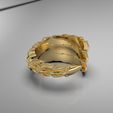untitled.1810.jpg claw ring