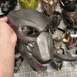 IMG_20220713_110934.jpg Predator Tracker mask  Shaman