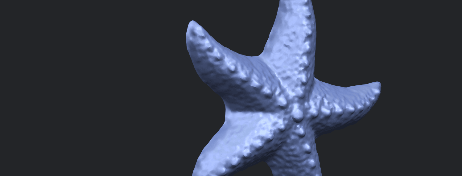 10_TDA0609_Starfish_03A10.png -Datei Starfish 03 kostenlos herunterladen • Objekt zum 3D-Drucken, GeorgesNikkei