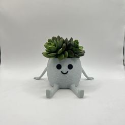 IMG_4020.jpg Happy Pot - Mini Succulent Planter