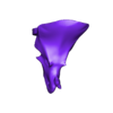 Brachyceratops_Head.stl Brachyceratops HEAD FOR 3D PRINTING
