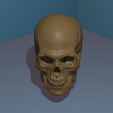 untitledKRAN2223E.png 3D Skull