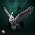 OWL_2.png Magic owl pre-supported