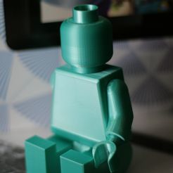 IMG_2086.jpg Legos character.