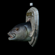 Dentex-head-trophy-12.png fish head trophy Common dentex / dentex dentex open mouth statue detailed texture for 3d printing
