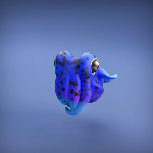 Bobtail_squid_8.jpg -Datei Bobtail-Tintenfisch herunterladen • 3D-druckbares Design, mayapantic