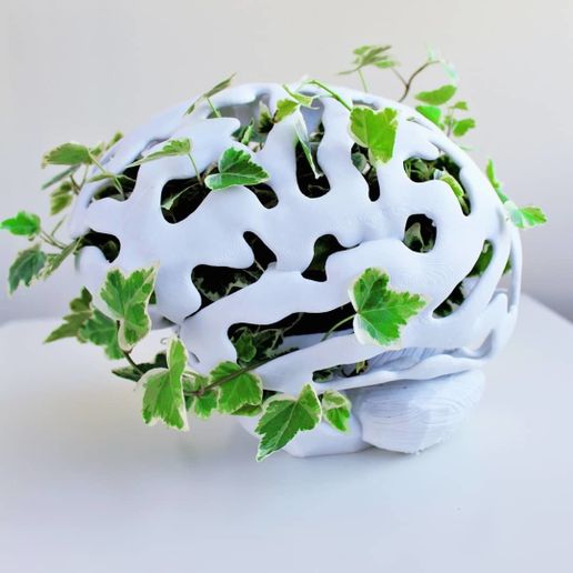 Brain Planter 3D model