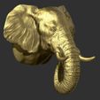 43.jpg Elephant head
