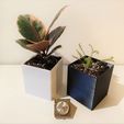view (6).jpg CuBe - The cubic design planter with water reservoir