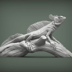 Basiliscus-plumifrons1.jpg Basiliscus plumifrons 3D print model